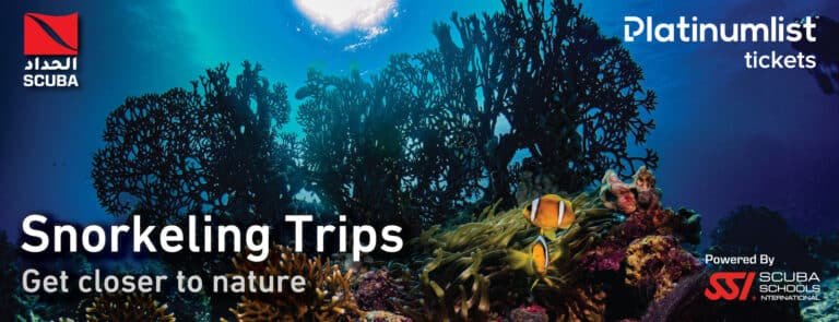 Snorkeling Daily Trips Tickets, Jeddah